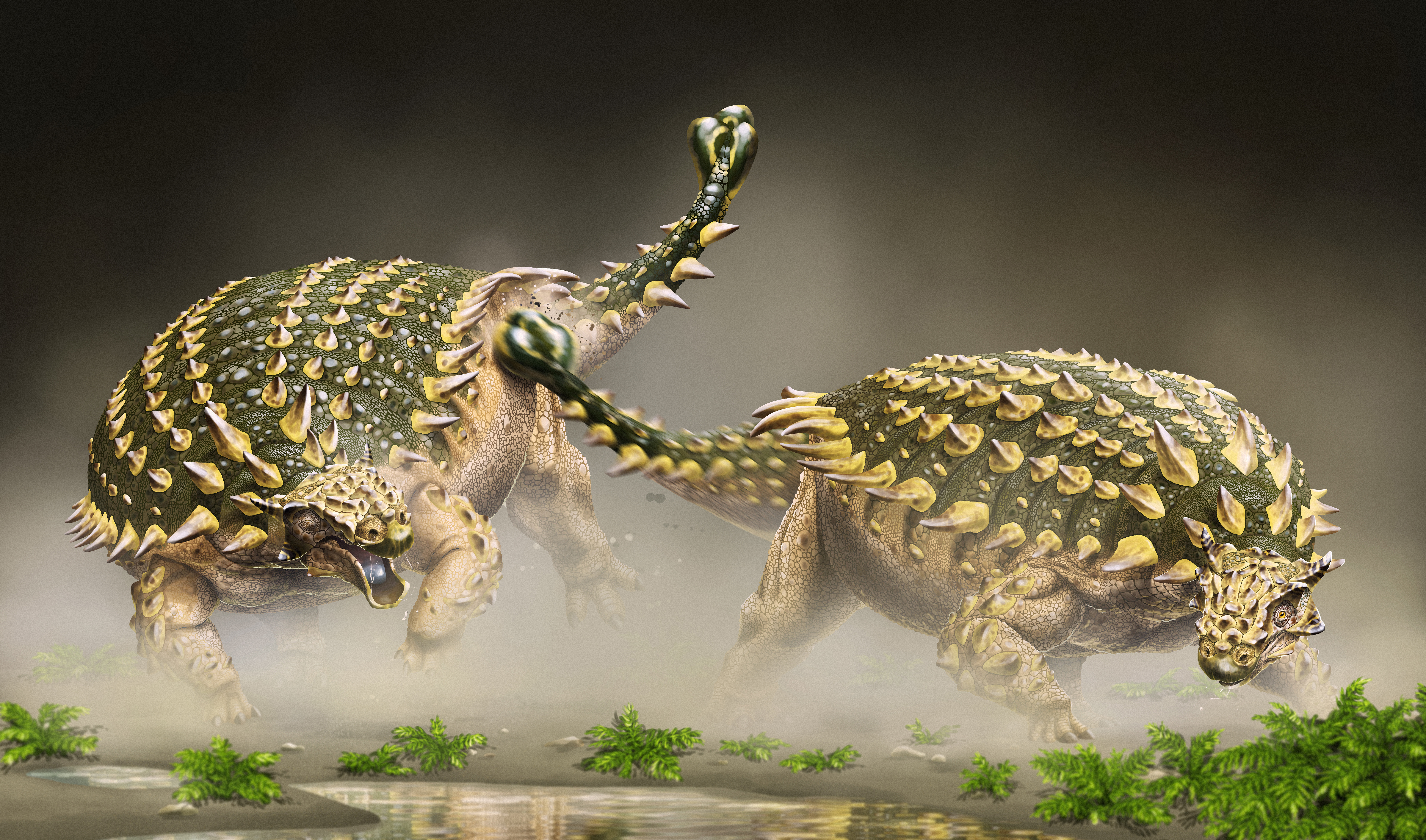 ankylosaurid dinosaur